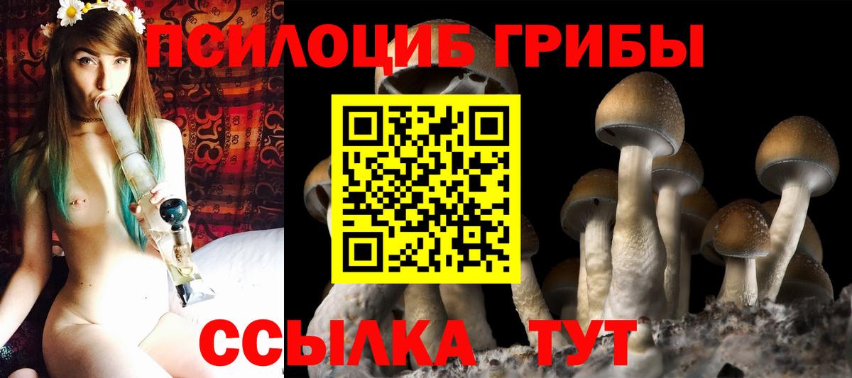 Псилоцибиновые грибы прущие грибы  Вход с VPN  Псков 